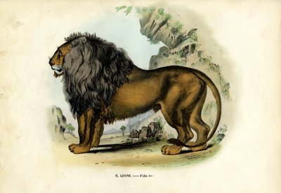 Leone, 1863-79 da Raimundo Petraroja